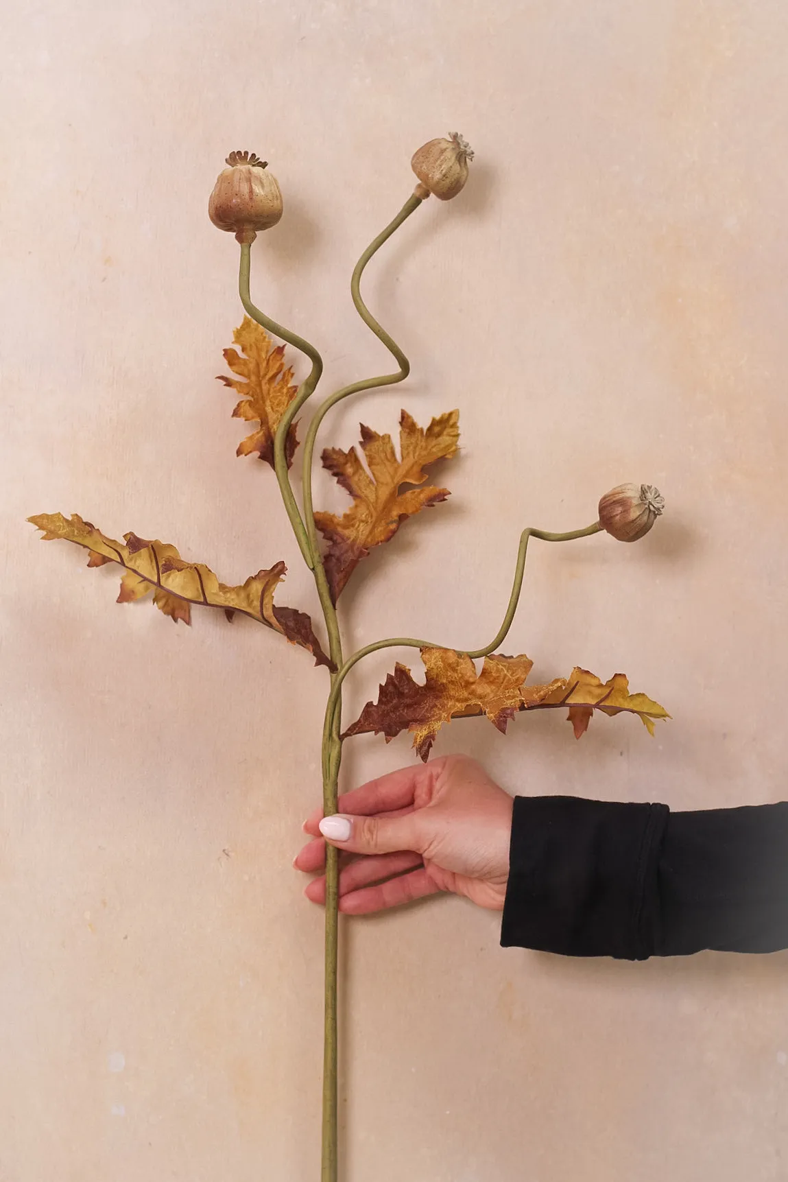Faux Brown and Blush Poppy Seed Stem