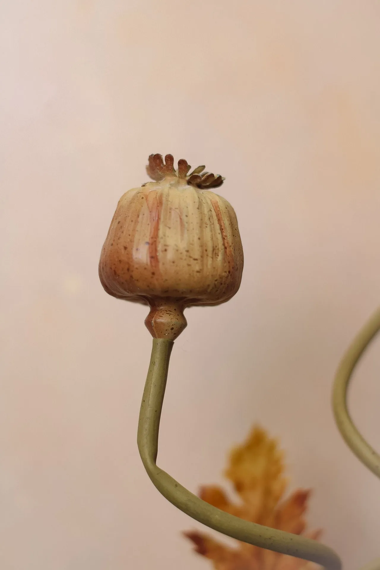 Faux Brown and Blush Poppy Seed Stem