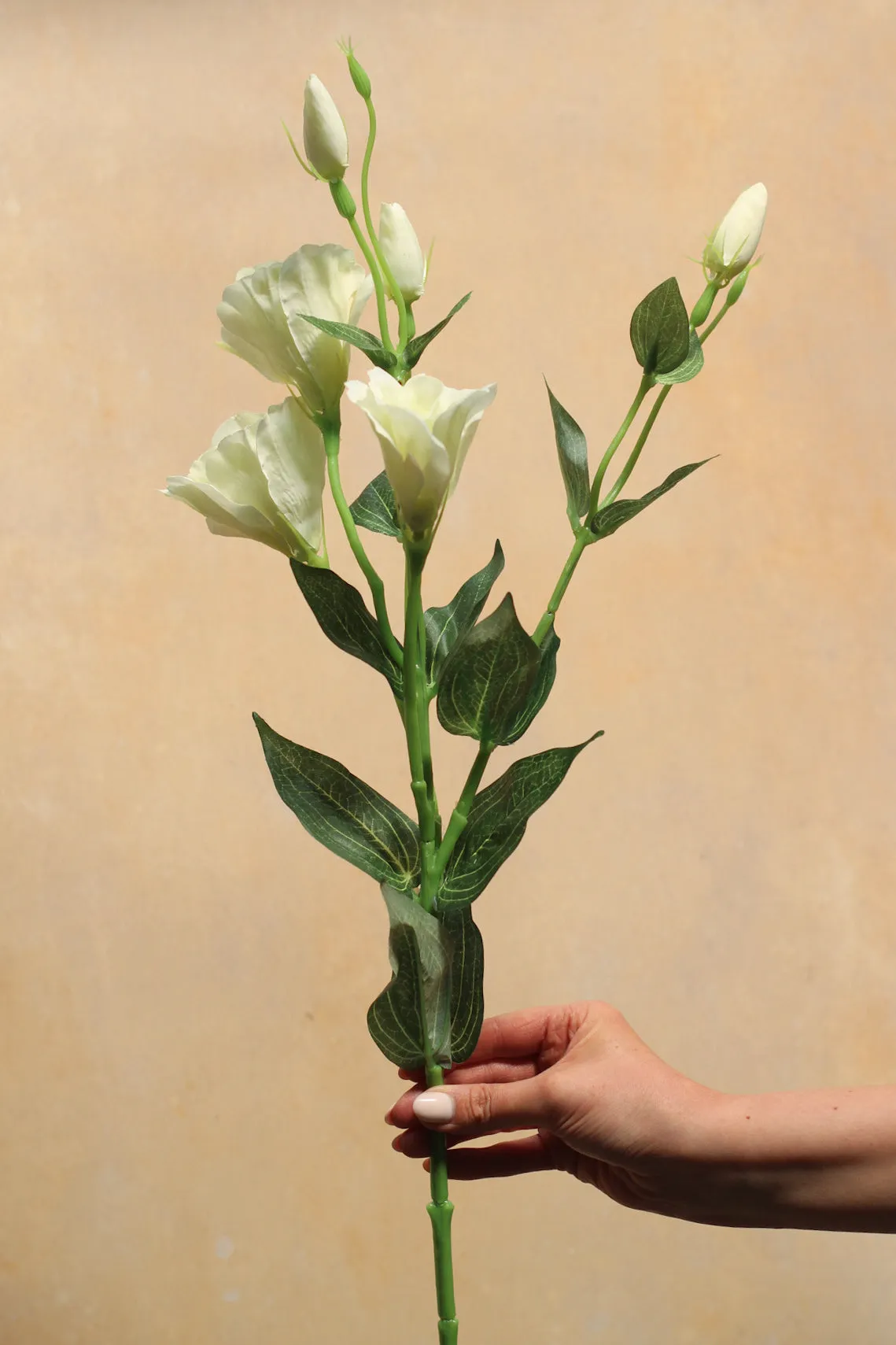 Faux Ivory Lisianthus Spray
