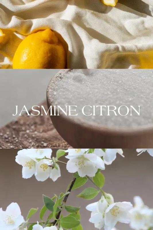 jasmine citron soy candle